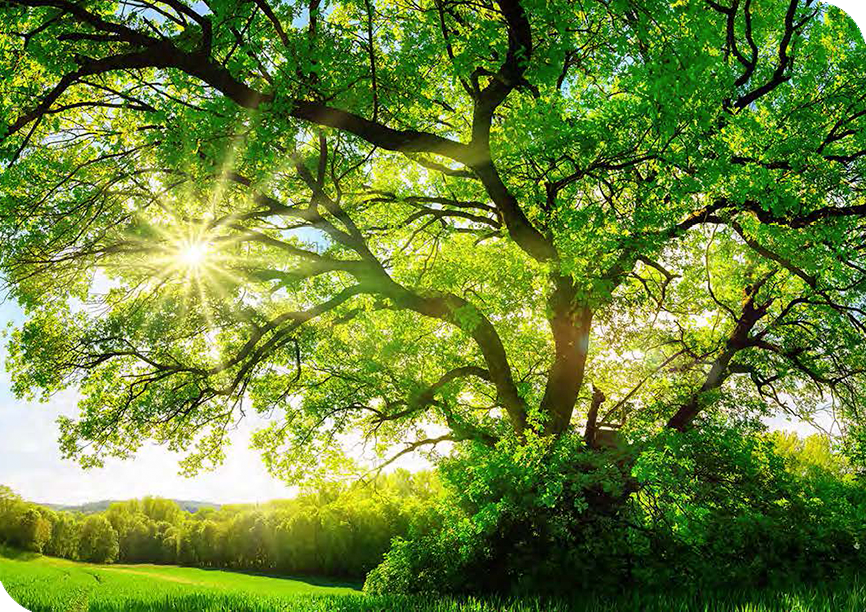 landscapre-sustainability