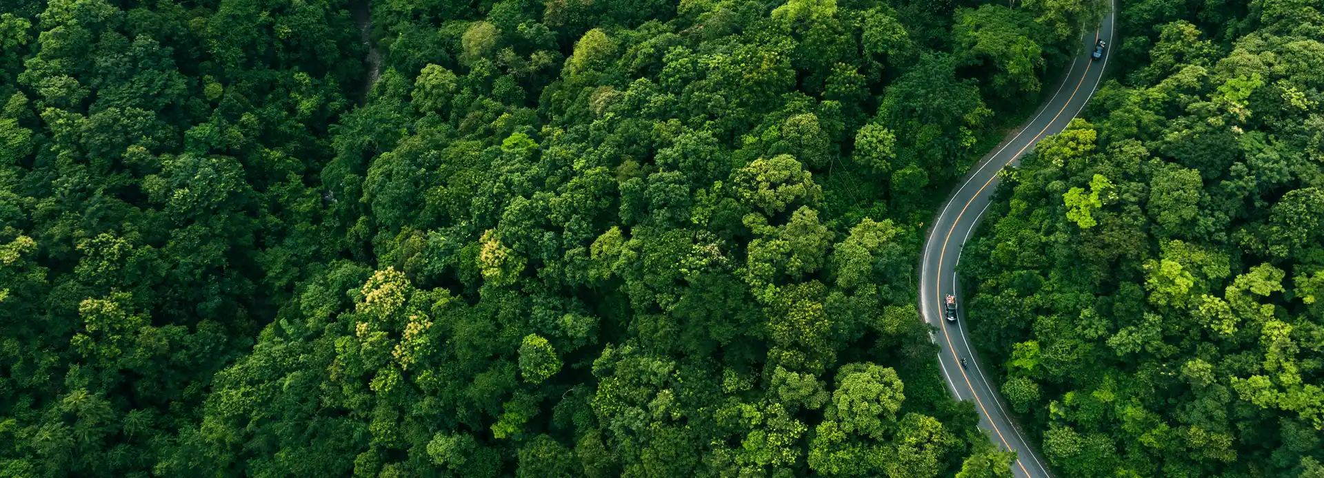 Aerial view of a forest landscape with a curved road and cars passing through