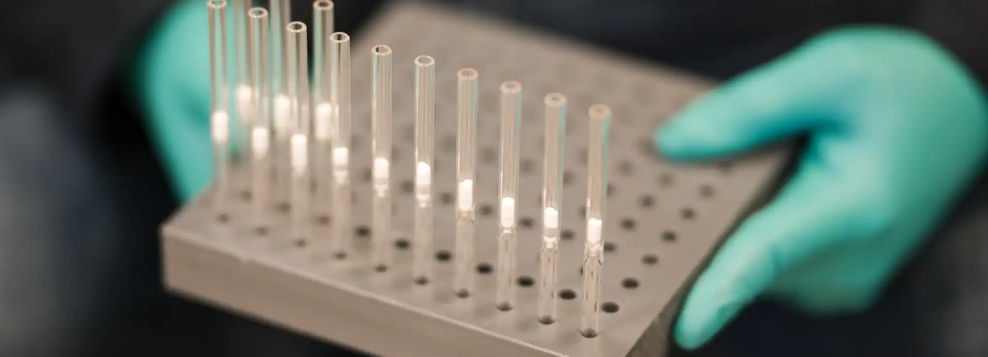 Close-up of gloved hands holding an array of test tube vials for chemical testing